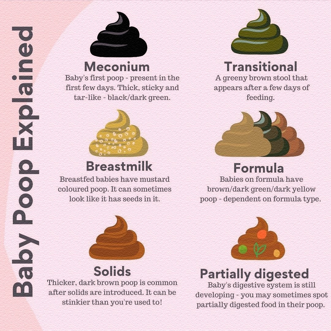 Color chart showing the transition of infant stool from black meconium to green transitional stool to yellow milk stool